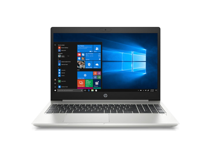 1L3U0EA#ACB  Ноутбук HP ProBook 455 G7 Ryzen 3 4300U 8Gb SSD256Gb AMD Radeon 15.6'' IPS FHD (1920x1080) Windows 10 Professional 64 silver WiFi BT Cam