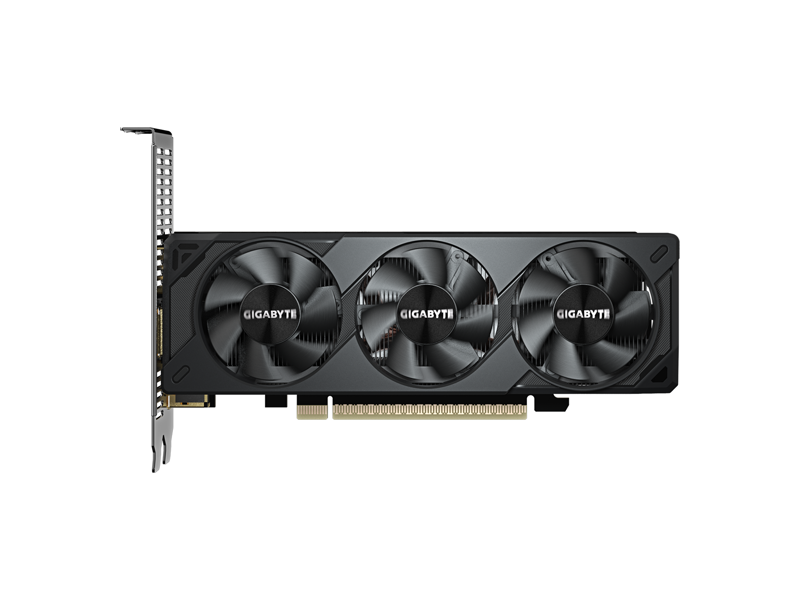 GV-N5050OC-8GL  Видеокарта GIGABYTE GeForce RTX 5050 OC Low Profile 8G GeForce RTX 5050 8GB 128bit GDDR6 PCI-E Gen5 2xHDMI 2xDP